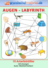 Augen-Labyrinth.pdf